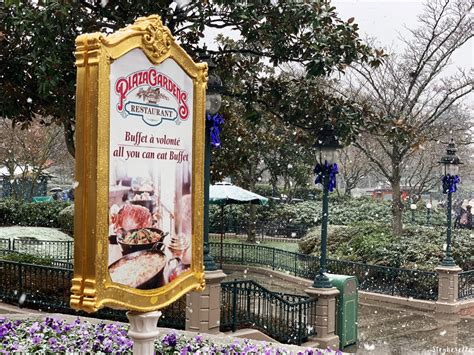 Plaza Gardens Breakfast Character Dining Review Stepherella