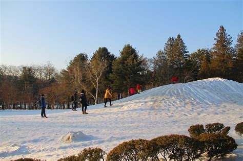 The Geek Travels: Nami Island: Winter Sonata Adventure