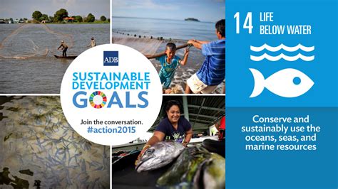 Sustainable Development Goal Life Below Water Flickr