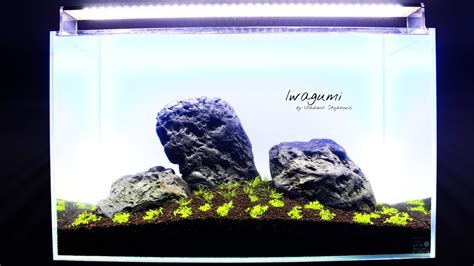 Aquascaping IWAGUMI 60p Step By Step Back To The Simplicity YouTube