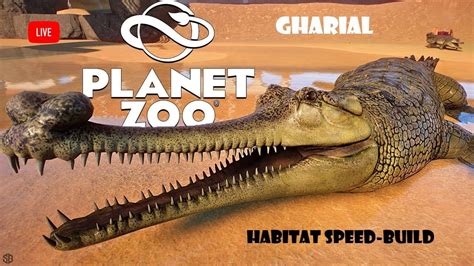 Gharial Habitat SPEEDBUILD (LIVE) Planet Zoo || Science's Bedroom - YouTube