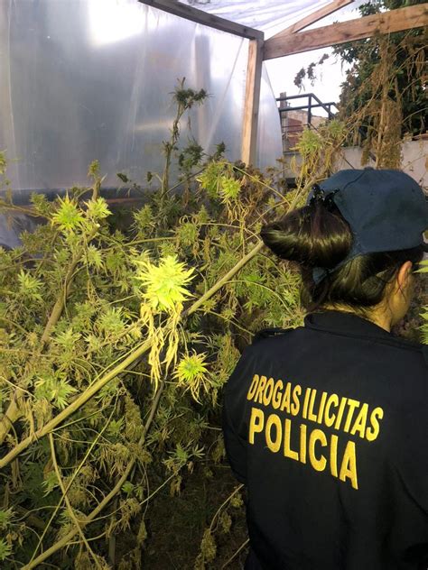 Cayó un clan familiar que vendía cocaína y marihuana en Almirante Brown