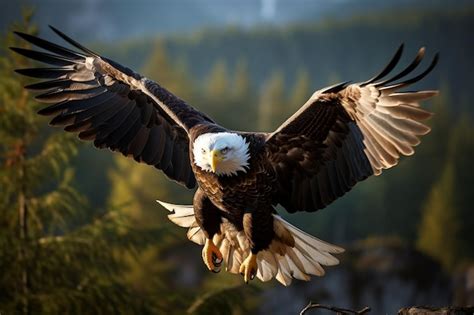 Premium Ai Image Bald Eagle Soaring In Flight Captured Photograph