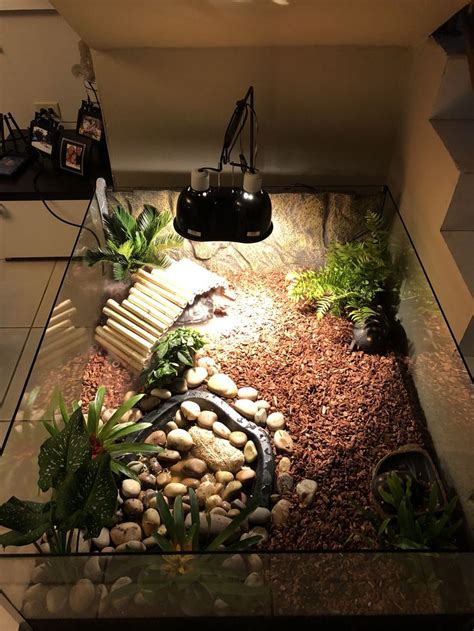 Creative Indoor Turtle Tank Setup Ideas Home Aquarium Turtle Pond