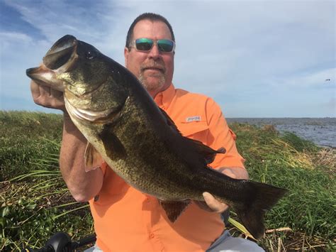 Okeechobee Fishing Report Lake Okeechobee Bass Fishing Fishing Guides