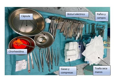 Tema Roles Quir Rgicos De La Enfermer A Instrumentista