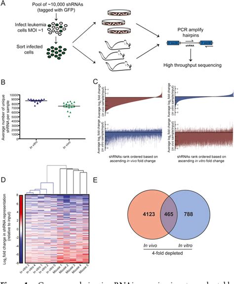 Figure From A Genome Scale In Vivo Loss Of Function Screen Identifies