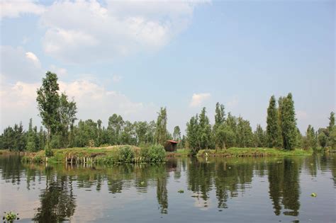 The Creepy Story Behind The Island Of Dolls In Xochimilco Viral