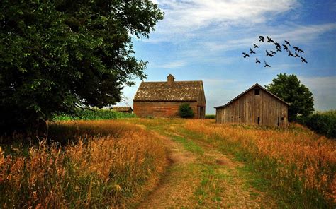 Country Farm Scene Wallpapers Top Free Country Farm Scene Backgrounds