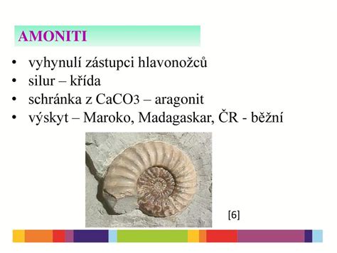 HLAVONOŽCI 12 října 2013 VY 52 INOVACE ppt stáhnout