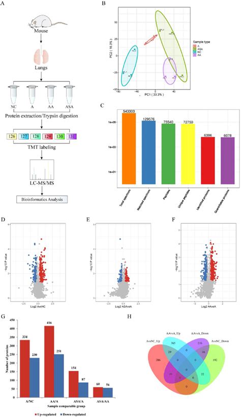 Identification And Quantitative Analysis Of Proteins A Flow Chart For Download Scientific