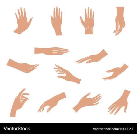 Hands Set Royalty Free Vector Image Vectorstock