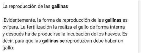 Como Se Reproducen Las Gallinas Ayuda Please Brainly Lat