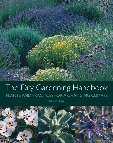 The Dry Gardening Handbook Plants And Practices For A Changing Climate