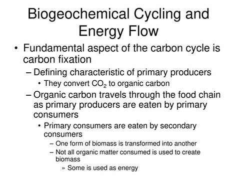 Microbial Ecology - PowerPoint Slides - LearnPick India