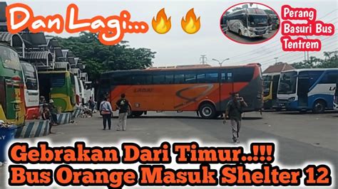 GEBRAKAN Dari Timur Menjelang Mudik Bus ORANGE Meramaikan Shelter 12