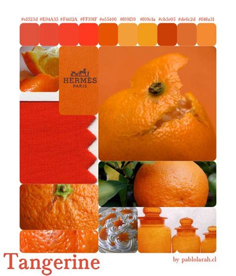 Color Palette 5 Tangerine Design Color Tangerine Natural Color