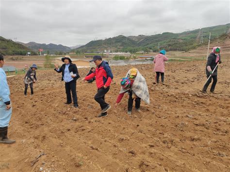 我院饲草饲料研究所专家一行在昭觉三岔河镇开展高寒冷凉山区适宜燕麦品种筛选春播工作 凉山农科网