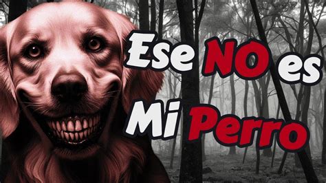 Ese No Es Mi Perro Historia De Terror Perros Actuando Como