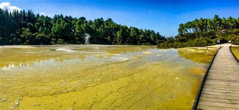 Boardwalk Path Leading Through Steaming Mineral Infused Coloured Hot