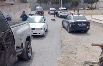 Tras persecución detienen a presunto ladrón de autos en Actopan