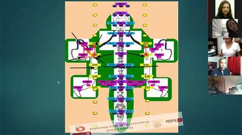 Acupuntura Abdominal La Tortuga Por El Profesor Ruben Ochoa Youtube