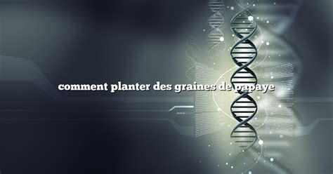 Comment Planter Des Graines De Papaye Diffusonslascience