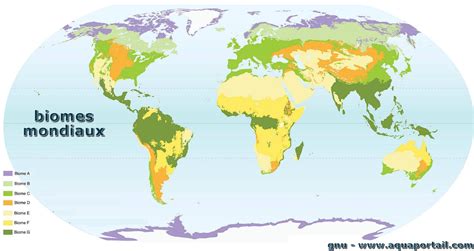 Biome définition et explications