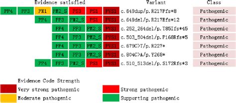 Variant Classification According To American College Of Medical Download Scientific Diagram