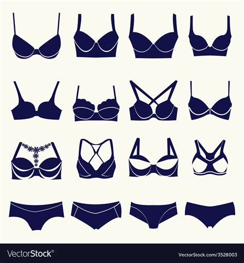 Bra Icon Set Different Types Of Bras And Pants Vector Image