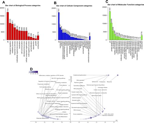 Significantly Enriched Go Annotations And Kegg Pathways Of Scamp In