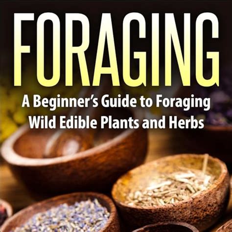 Foraging A Beginner S Guide To Foraging Wild Edible Plants And Herbs