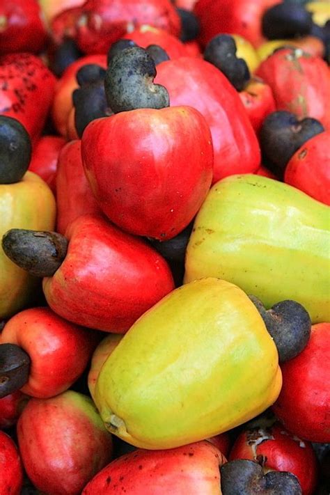 Cashew Apple Fruit