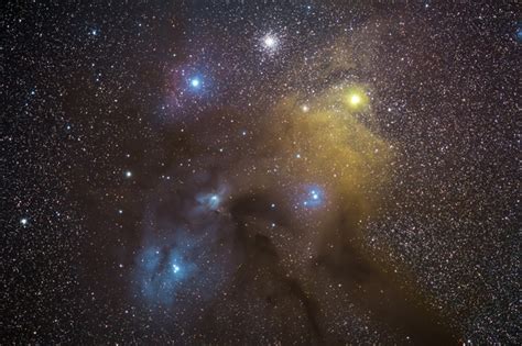 Antares Rho Ophiuchi Nebula Complex Astrobin