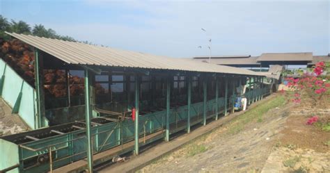 Pabrik Minyak Kelapa Sawit C Stasiun Loading Ramp