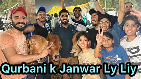 Qurbani Ke Liye Cow Le Li Mandi Ka Khoobsurat Janwar Samadkiduniya