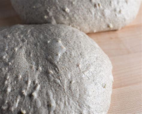 Sprouted Buckwheat Sourdough The Perfect Loaf