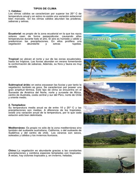 Tipos De Clima Zona Tropical Clima