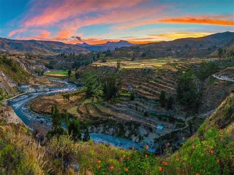 Explora El Ca On Del Colca En Arequipa Tours En Peru