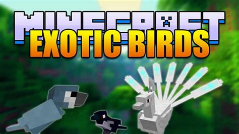 Exotic Birds Mod 1.19.2/1.18.2/1.16.5/1.12.2 | MinecraftGames.co.uk