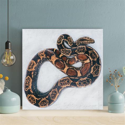 Latitude Run® Brown And Black Snake On White Surface Wrapped Canvas