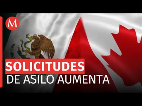 Amlo Reconoce Aumento De Solicitudes De Asilo De Mexicanos A Canad