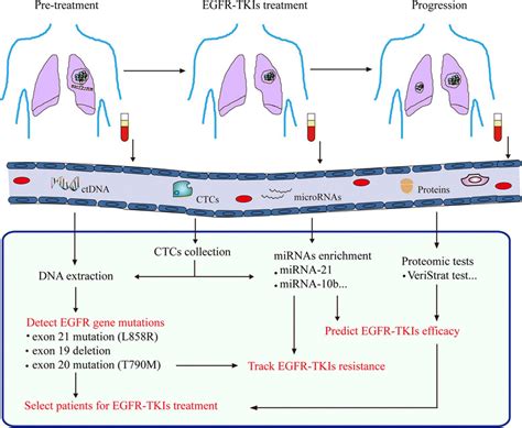 Clinical Applications Of Non Invasive Approaches In Monitoring Egfr Tki