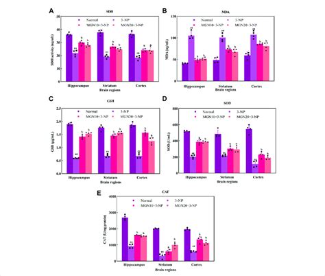 Effect Of Manerin On Oxidative Stress Markers A Sdh Activity B