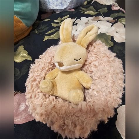 Jellycat Toys Jellycat Hibernating Bunny Poshmark