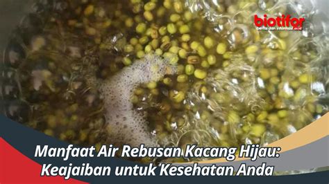 Manfaat Air Rebusan Kacang Hijau Keajaiban Untuk Kesehatan Anda