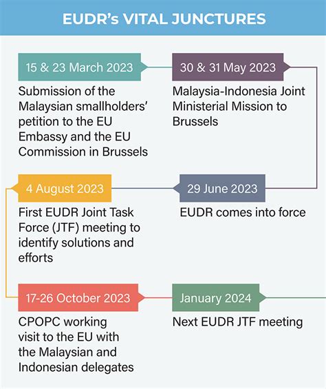 Is The Eu Ready To Implement Its Eudr Requirements