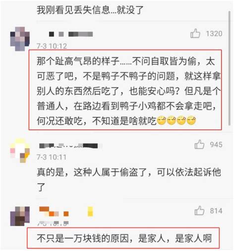 女星发微博寻宠物鸭结果被人吃掉了，警方：若构成犯罪可立案 澎湃号·媒体 澎湃新闻 The Paper