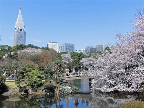 旅好きが選ぶ！外国人に人気の日本の観光スポット トリップアドバイザー