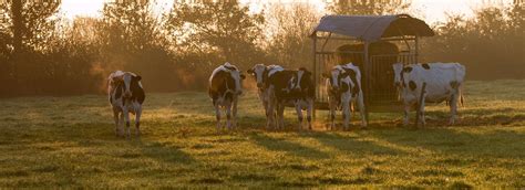 Lagriculture de demain en Pays de la Loire Conseil économique social